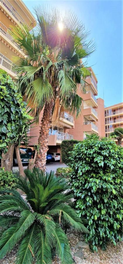 Los Ranchos, B-1º Benidorm Luaran gambar